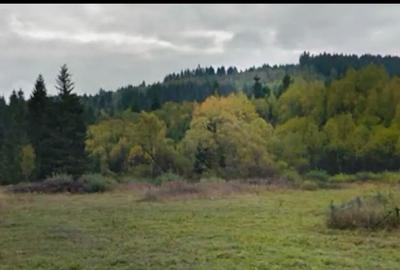 Teren pentru construcții de vânzare - 1