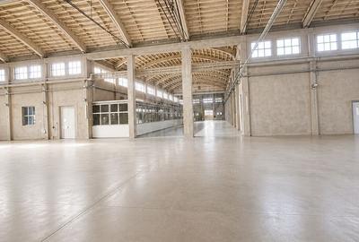 HALA  PRODUCTIE 3500MP//ZONA BEREASCA - 8