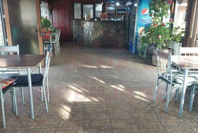RESTAURANT DE VÂNZARE-COM. OBREJA\SAT IAZ\CARAȘ SEVERIN - 17