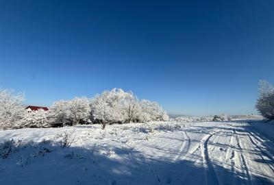 Teren intravilan 500 sau 1000 mp Bran-Tohanita la dum asfaltat - 31