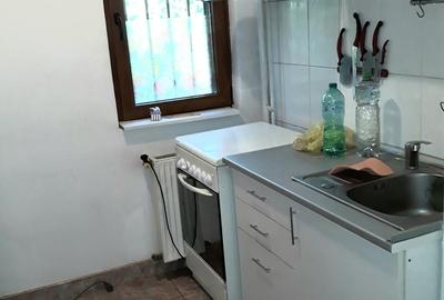 Colentina Rau, Mc Donalds, Mr. Bacila, Parc Plumbuita, stradal - 11