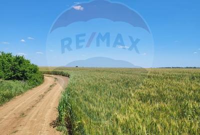 Teren intravilan 4,100 mp, fs 18 ml si 2222 mp fs 16 ml Peris IF - 2