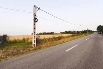 RECO Teren intravilan pentru casa 1000 mp Lazareni - 2