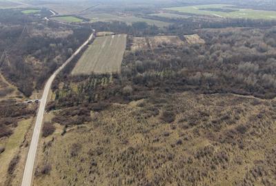 Teren agricol extravilan de 952372 mp, în Constantin Daicoviciu