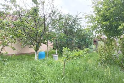 Casa de vanzare in Oradea, zona Calea Clujului, 780 mp teren - 12