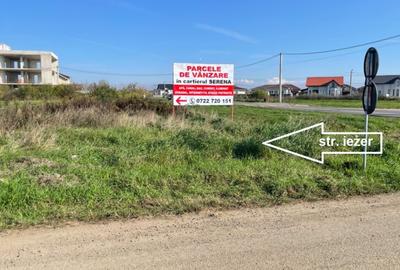 Dezvoltator/Proprietar -  parcele Serena 3 Puz nou acces strada Iezer - 6