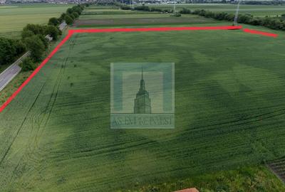 Teren intravilan 50000 mp, cu PUZ, Aprobat - zona Halchiu/Codlea - 5