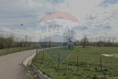 Teren intravilan, 2,900 mp Jucu de Sus, la asfalt - 1