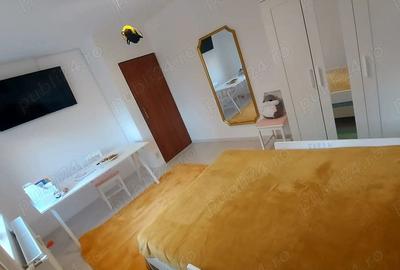 Drumul Taberei -Bucla, apartament de vanzare - 8