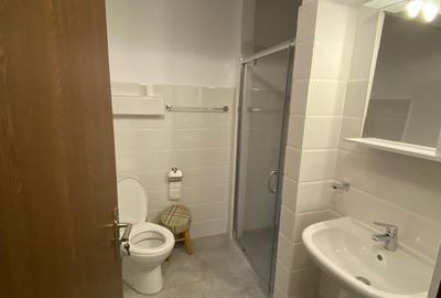 Închiriere demisol – Dorobanți (zona Școala Floreasca) - 9