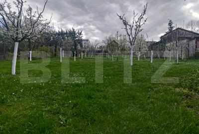 Vilă stil Neoromânesc, arhitectură cu coloane ,152 mp , cart Andrei Muresanu ! - 4