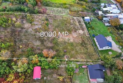 Teren Construcții intravilan de 8000 mp, în Gârlenii de Sus