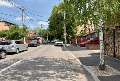 Bucurestii Noi -Subcetate 110, apartament 3 camere igienizat, demisol, 55 mp. - 24