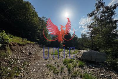 18000 mp de natura pura ,Lupeni, langa Straja - 17