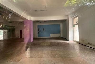 Spatiu comercial Nicolina Clopotari, zona Profi, 160mp - 3