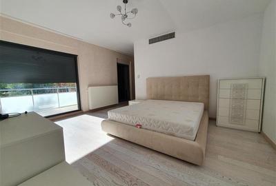 Ambasada SUA. Apartament 300mp, terasa 100mp, garaj. - 23