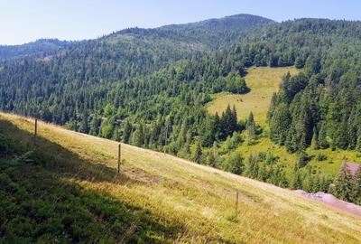 7130 mp TEREN INTRAVILAN ARIESENI - ALBA, la BAZA CELEI MAI MARI PARTII DE SCHI