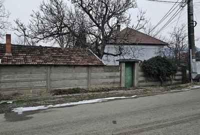 Casa Uileacu de Cris - 9