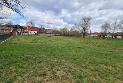 Teren Intravilan Tohanita - 5