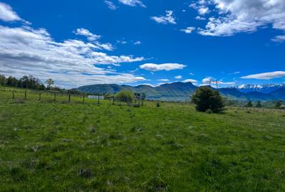 Teren Bran Zarnesti 3 km Castelul Bran 25 km Brasov - 8