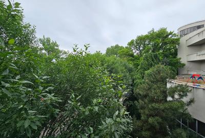 Bloc boutique, 1 minut de parc herastrau - 14
