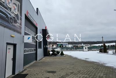 Service auto cu showroom si linie ITP, Cisnadie - 6