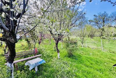 Casa individuala de vanzare in Nucet | Rosia | teren 747 mp | livada, pivnita | - 10
