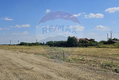 Terenuri intravilane Frumușani – Preț excelent, investiție sigură! - 1