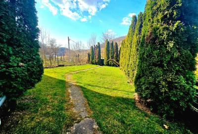 Resita Casa cu Teren Drept 500 Mp retrasa la marginea padurii - 13