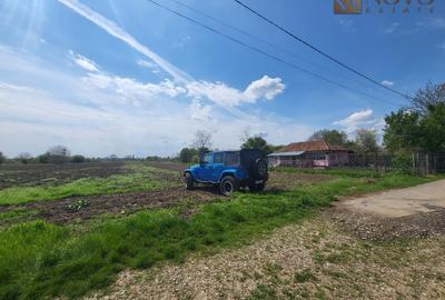 Teren 11.000 mp | Gradistea | Oportunitate Dezvoltare - 8