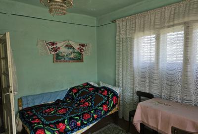 Casa la tara cu 3 camere + teren intravilan Sup 962 mp, Colesti, Bihor - 13