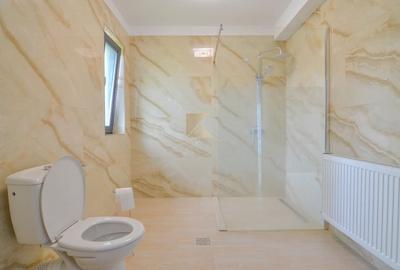 Casa noua tip duplex, 2 dormitoare cu 2 bai, curte, Sacele, PETFRIENDL - 17