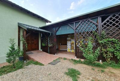 Vila + Afacere 15.000mp Clinceni - 6