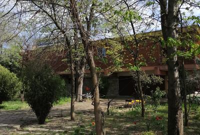 Vila unicat de inchiriat in Mamaia - 4