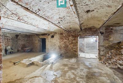 Spațiu ultracentral la demisol - 1