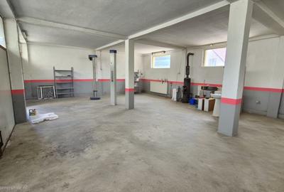 Spațiu industrial, de 120.00 mp, în Cetate