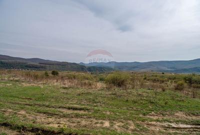 Ferma moderna de porci de vanzare in Curtuiusu Dejului - 20