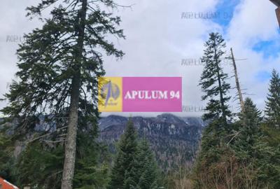 Vilă de vânzare in Sinaia - Zona Cumpătu - 26