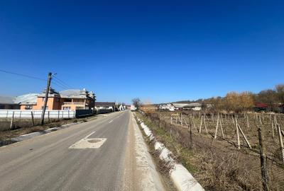 Teren intravilan 2700 mp, deschidere 41 ml, Movilita – Vrancea - 4