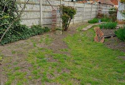 Casă de vânzare urgent în Jimbolia- 731 - 15