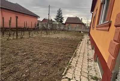 RECO Vila P+M cu 3 camere în Biharia - 13