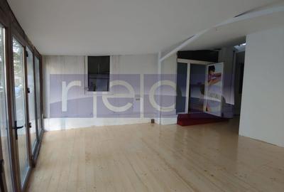INCHIRIERE SPATIU COMERCIAL 300MP DACIA EMINESCU VAD EXCEPTIONAL HORECA - 2