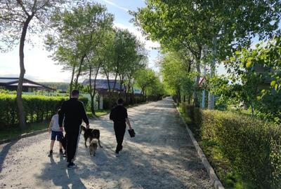 Loturi constructie intre 80-95 Euro/mp - Afumati, Strada Padurii - 8