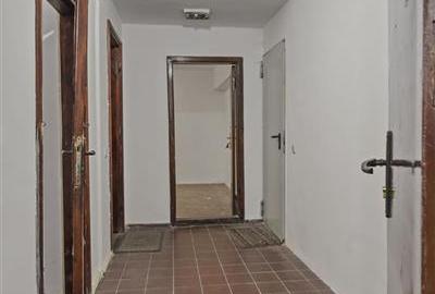 CASA DE VANZARE IN ZONA FLOREASCA-RAHMANINOV (D+P+1+M) - 38