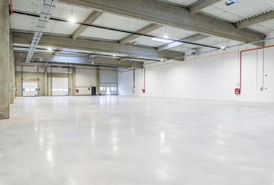 4646 mp - Hala industriala de inchiriat in Parc Industrial Arad - 1