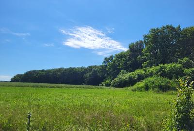 Teren Construcții intravilan de 5000 mp, în Ciolpani