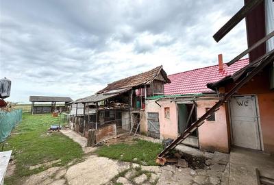 CASA CU TEREN 1081 MP | ACCES AUTO | ZONA SACUIENI | LOCALITATEA CADEA | BIHOR - 21