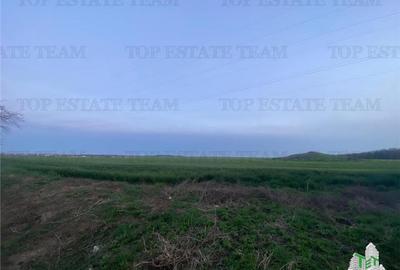 Teren intravilan 15000 mp Costinesti, Constanta - 5