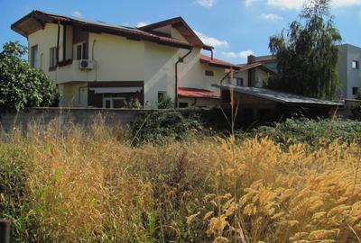 Bragadiru - Zona Haliu, Stradal - 5