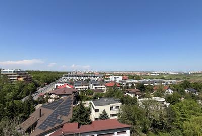 Apartament 4 camere de inchiriat superb - Prima Chirie-Iancu Nicolae - 15